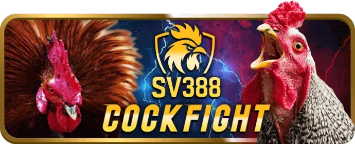Giải thích về Cookie và cách chúng hoạt động trên kc99 trang chủ chính thức